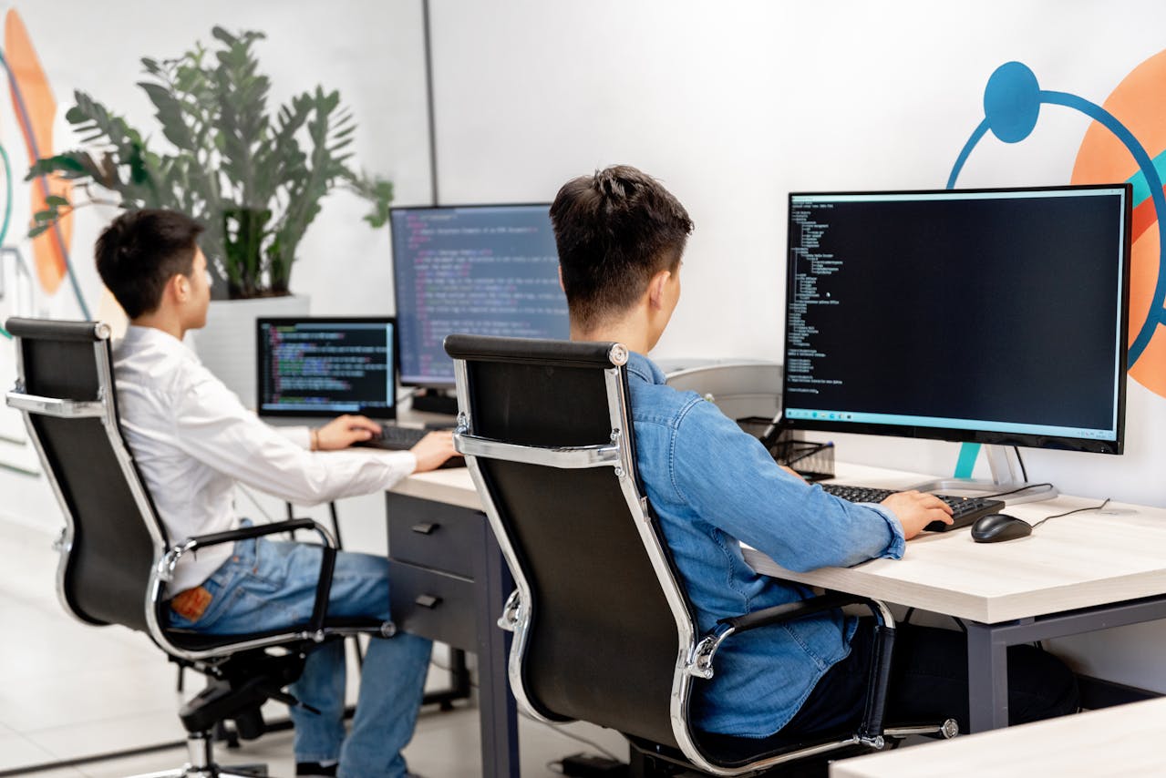 web developer