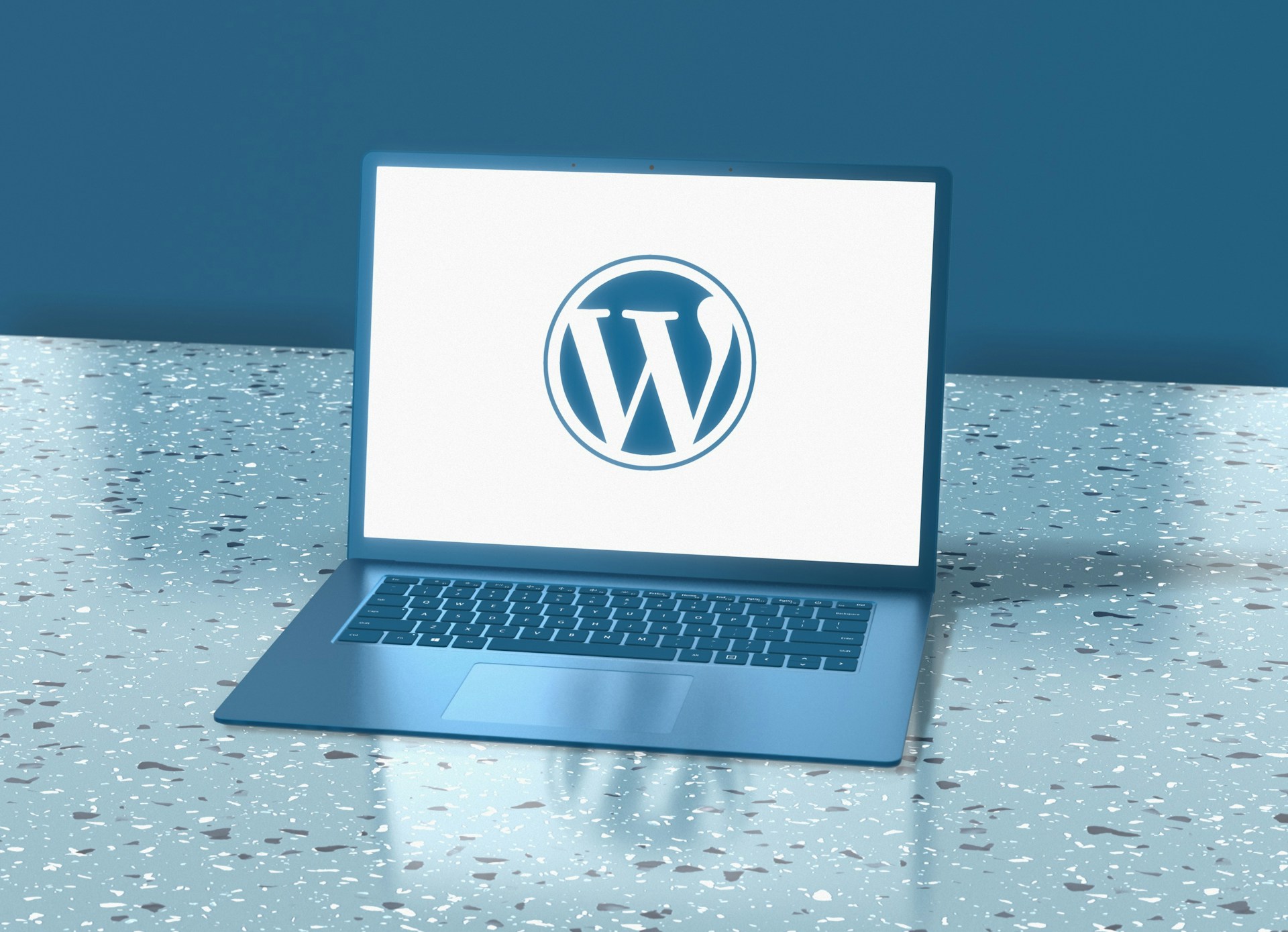 wordpress developer